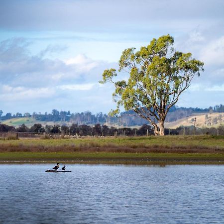 Blackwood Park Cottages Mole Creek Eksteriør bilde