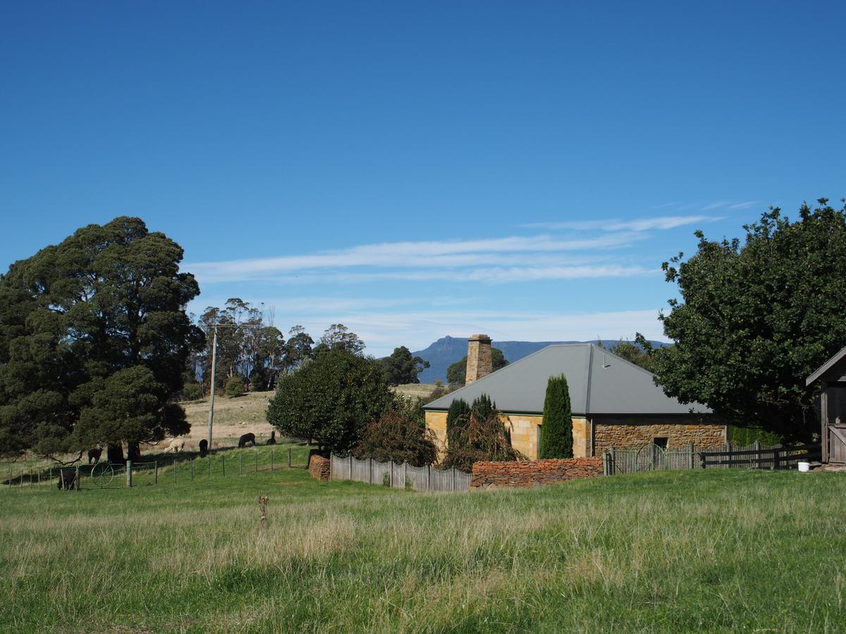 Blackwood Park Cottages Mole Creek Eksteriør bilde