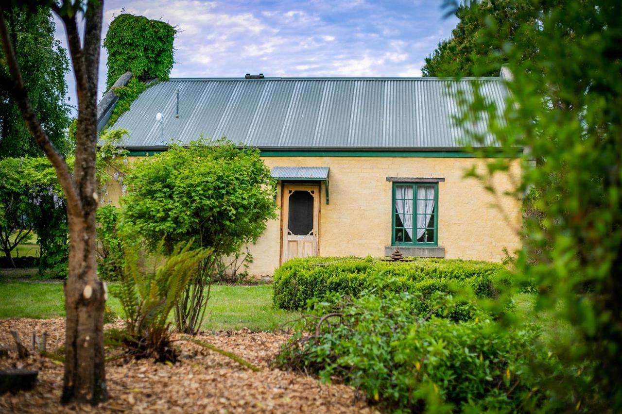 Blackwood Park Cottages Mole Creek Eksteriør bilde