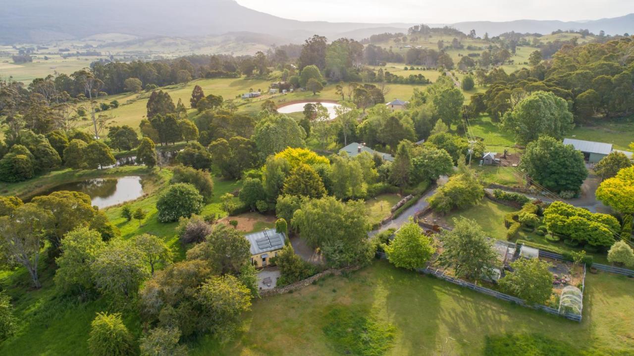 Blackwood Park Cottages Mole Creek Eksteriør bilde